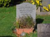 image of grave number 719163